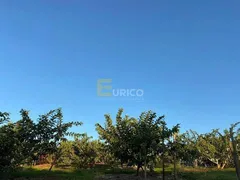 Fazenda / Sítio / Chácara com 4 Quartos à venda, 500m² no Reforma Agraria, Valinhos - Foto 9