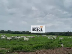 Fazenda / Sítio / Chácara com 3 Quartos à venda, 150m² no Zona Rural, São Valério da Natividade - Foto 11