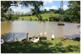 Terreno / Lote / Condomínio à venda, 1m² no Centro Arcadas, Amparo - Foto 7