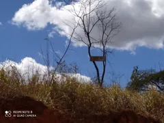 Terreno / Lote / Condomínio com 1 Quarto à venda, 5000m² no Jardim das Mangabeiras, Mateus Leme - Foto 6