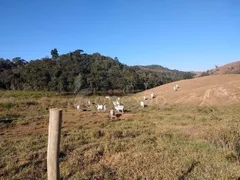Fazenda / Sítio / Chácara com 10 Quartos à venda, 13500000m² no Centro, Santa Branca - Foto 26