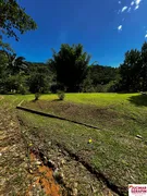 Fazenda / Sítio / Chácara com 3 Quartos à venda, 15000m² no Timbe, Tijucas - Foto 7