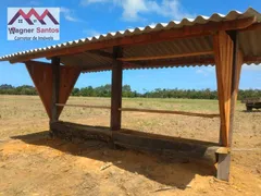 Fazenda / Sítio / Chácara com 6 Quartos à venda, 6350000m² no Guaiú, Santa Cruz Cabrália - Foto 20