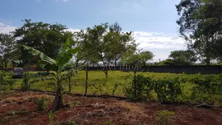 Terreno / Lote / Condomínio à venda, 5000m² no Conjunto Cafezal 1, Londrina - Foto 9