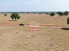 Fazenda / Sítio / Chácara à venda no Zona Rural, Jussara - Foto 19