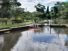 Fazenda / Sítio / Chácara com 4 Quartos à venda, 242000m² no Zona Rural, Bonfinópolis - Foto 10