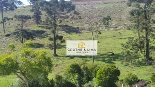 Fazenda / Sítio / Chácara à venda, 1111111m² no Zona Rural, Campanha - Foto 15