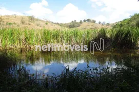 Fazenda / Sítio / Chácara com 3 Quartos à venda, 600000m² no , Prados - Foto 10