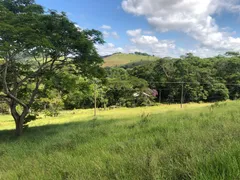 Fazenda / Sítio / Chácara à venda, 116000m² no Centro, Goianá - Foto 32