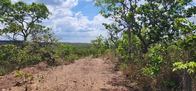 Fazenda / Sítio / Chácara à venda, 20000m² no Zona Rural, Baldim - Foto 4