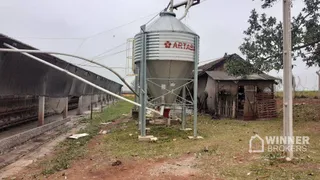 Fazenda / Sítio / Chácara à venda, 60500m² no , Mandaguaçu - Foto 12
