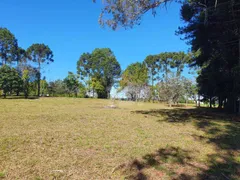 Terreno / Lote / Condomínio à venda, 5688m² no Granja das Acácias, Quatro Barras - Foto 2