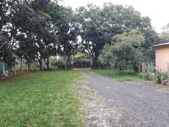 Fazenda / Sítio / Chácara com 2 Quartos à venda, 735m² no Panorama, Uberlândia - Foto 15