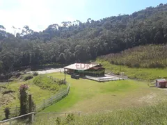 Fazenda / Sítio / Chácara com 4 Quartos à venda, 210000m² no Santa Terezinha, São Luiz do Paraitinga - Foto 6