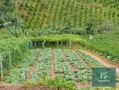 Terreno / Lote / Condomínio à venda, 4550m² no , São José do Vale do Rio Preto - Foto 4