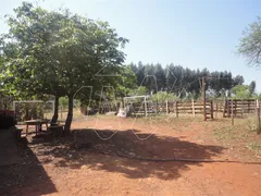 Fazenda / Sítio / Chácara à venda, 1m² no Centro, Araraquara - Foto 18