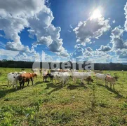 Fazenda / Sítio / Chácara à venda, 121000000m² no Area Rural de Uberlandia, Uberlândia - Foto 2