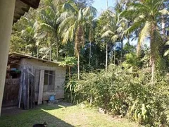 Fazenda / Sítio / Chácara com 2 Quartos à venda, 3000m² no São Fernando, Itanhaém - Foto 8