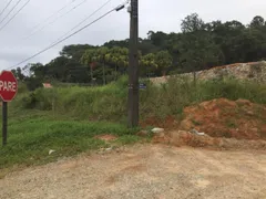 Terreno / Lote / Condomínio à venda, 10170m² no Sao Miguel Guaporanga, Biguaçu - Foto 3