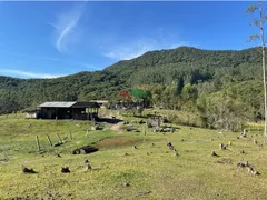 Fazenda / Sítio / Chácara com 3 Quartos à venda, 96m² no Gaspar Grande, Gaspar - Foto 1