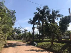 Fazenda / Sítio / Chácara com 3 Quartos à venda, 5500m² no , Torres - Foto 10