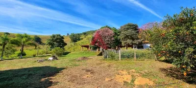 Fazenda / Sítio / Chácara com 3 Quartos à venda, 100000m² no Capoeirinha, Guararema - Foto 7