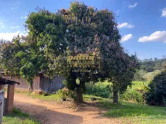 Fazenda / Sítio / Chácara com 8 Quartos à venda, 500m² no MOMBUCA, Itatiba - Foto 28