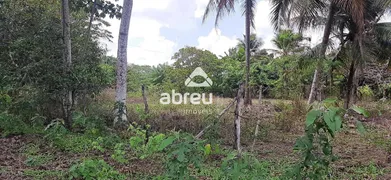 Terreno / Lote / Condomínio à venda, 1600m² no Santa Terezinha, São Gonçalo do Amarante - Foto 5