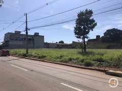 Terreno / Lote / Condomínio para alugar, 1688m² no Cardoso Continuação , Aparecida de Goiânia - Foto 1