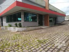 Fazenda / Sítio / Chácara com 3 Quartos à venda, 36300m² no Roça Velha, São José dos Pinhais - Foto 1