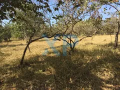 Fazenda / Sítio / Chácara com 3 Quartos à venda, 300m² no Santo Antônio dos Campos, Divinópolis - Foto 9