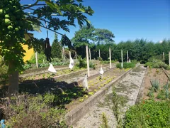 Fazenda / Sítio / Chácara com 4 Quartos à venda, 360000m² no Area Rural de Mogi das Cruzes, Mogi das Cruzes - Foto 32