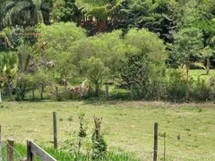 Fazenda / Sítio / Chácara com 2 Quartos à venda, 21843m² no Joaquim Egídio, Campinas - Foto 17