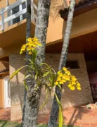 Casa de Condomínio com 4 Quartos à venda, 395m² no Alphaville, Santana de Parnaíba - Foto 4