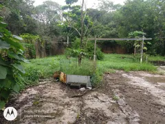 Fazenda / Sítio / Chácara com 5 Quartos à venda, 400m² no Balneário Paranapuan, Itanhaém - Foto 18