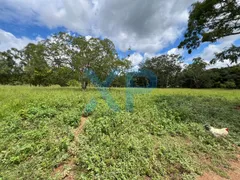 Fazenda / Sítio / Chácara com 3 Quartos à venda, 290m² no Zona Rural, São Sebastião do Oeste - Foto 68