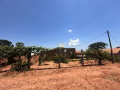 Fazenda / Sítio / Chácara à venda, 2000m² no Rural, Nova Granada - Foto 9