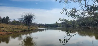 Fazenda / Sítio / Chácara à venda, 20000m² no Zona Rural, Baldim - Foto 7