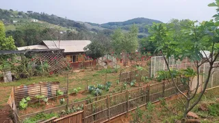 Fazenda / Sítio / Chácara com 2 Quartos à venda, 1250m² no Centro, Monte Belo do Sul - Foto 6