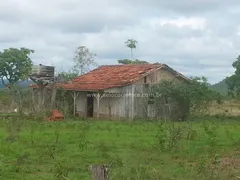 Fazenda / Sítio / Chácara com 1 Quarto à venda, 80000000m² no Zona Rural, Itiquira - Foto 29