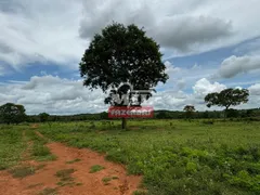 Fazenda / Sítio / Chácara com 4 Quartos à venda, 4259200m² no Zona Rural, Bom Jardim de Goiás - Foto 15