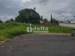 Terreno / Lote / Condomínio à venda, 600m² no Jardim Inconfidência, Uberlândia - Foto 4