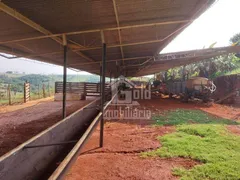 Fazenda / Sítio / Chácara à venda, 363000m² no Zona Rural, Pirassununga - Foto 17