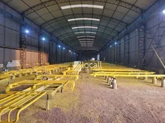 Galpão / Depósito / Armazém para venda ou aluguel, 30000m² no Zona Rural, Bady Bassitt - Foto 4