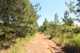 Terreno / Lote / Condomínio à venda, 170700m² no Campestre, São Leopoldo - Foto 11