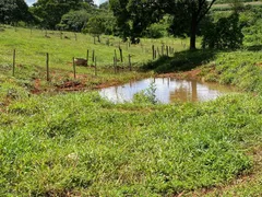 Fazenda / Sítio / Chácara com 2 Quartos à venda, 96800m² no Zona Rural, Bonfinópolis - Foto 7