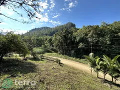 Fazenda / Sítio / Chácara com 3 Quartos à venda, 96m² no Encano do Norte, Indaial - Foto 7