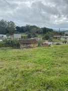 Fazenda / Sítio / Chácara com 2 Quartos à venda, 70m² no Tapajos, Indaial - Foto 10