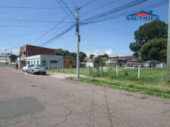 Terreno / Lote / Condomínio para alugar, 300m² no Nova Sapucaia, Sapucaia do Sul - Foto 2