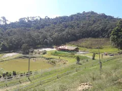 Fazenda / Sítio / Chácara com 4 Quartos à venda, 210000m² no Santa Terezinha, São Luiz do Paraitinga - Foto 3